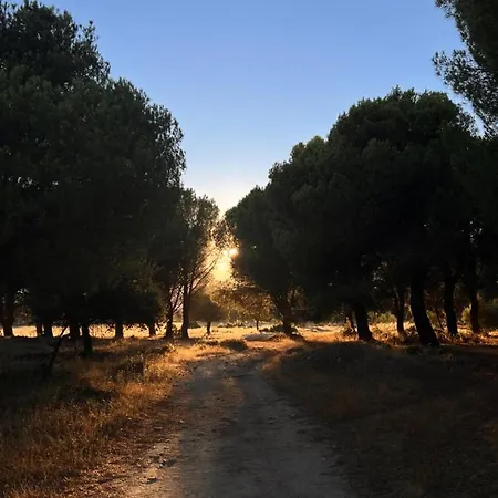 Rural La Resinera לה אדראדה