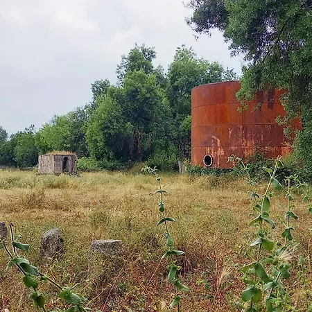 אורחן Rural La Resinera *