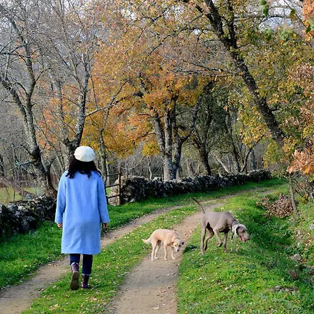 Rural La Resinera La Adrada