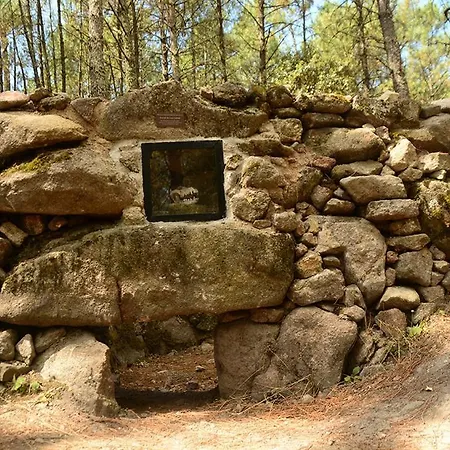 Rural La Resinera Penzion